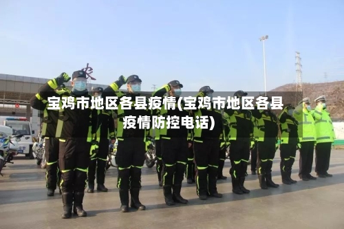 宝鸡市地区各县疫情(宝鸡市地区各县疫情防控电话)-第2张图片