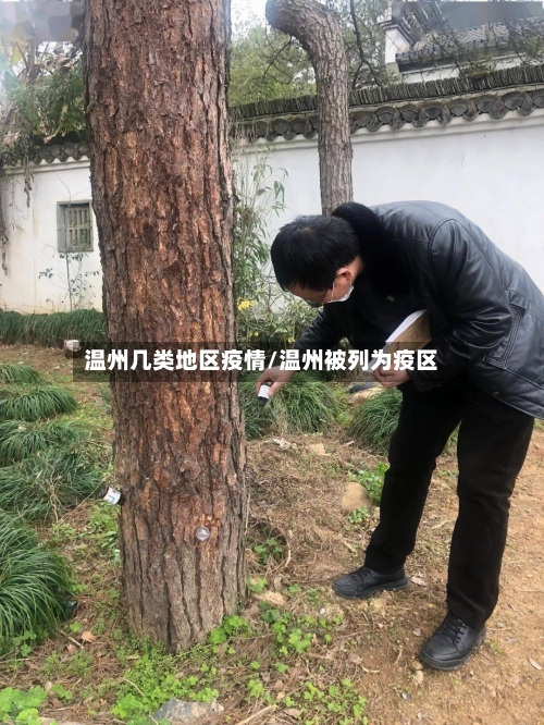 温州几类地区疫情/温州被列为疫区-第1张图片