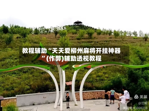 教程辅助“天天爱柳州麻将开挂神器”(作弊)辅助透视教程-第3张图片