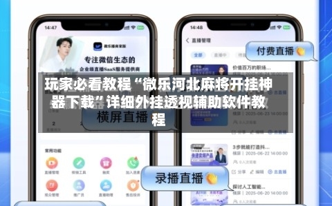 玩家必看教程“微乐河北麻将开挂神器下载”详细外挂透视辅助软件教程-第2张图片