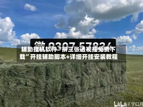 辅助挂机软件“拼三张透视挂免费下载	”开挂辅助脚本+详细开挂安装教程-第1张图片