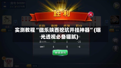 实测教程“微乐陕西挖坑开挂神器	”(曝光透视必备猫腻)-第2张图片