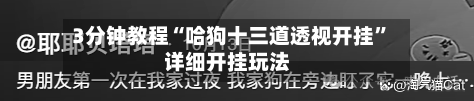 3分钟教程“哈狗十三道透视开挂	”详细开挂玩法-第2张图片
