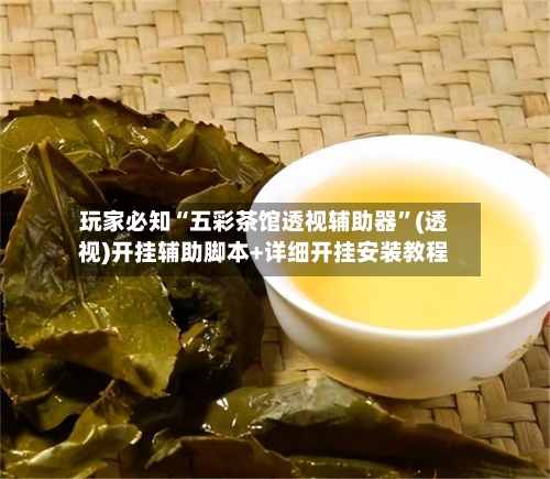 玩家必知“五彩茶馆透视辅助器	”(透视)开挂辅助脚本+详细开挂安装教程-第1张图片