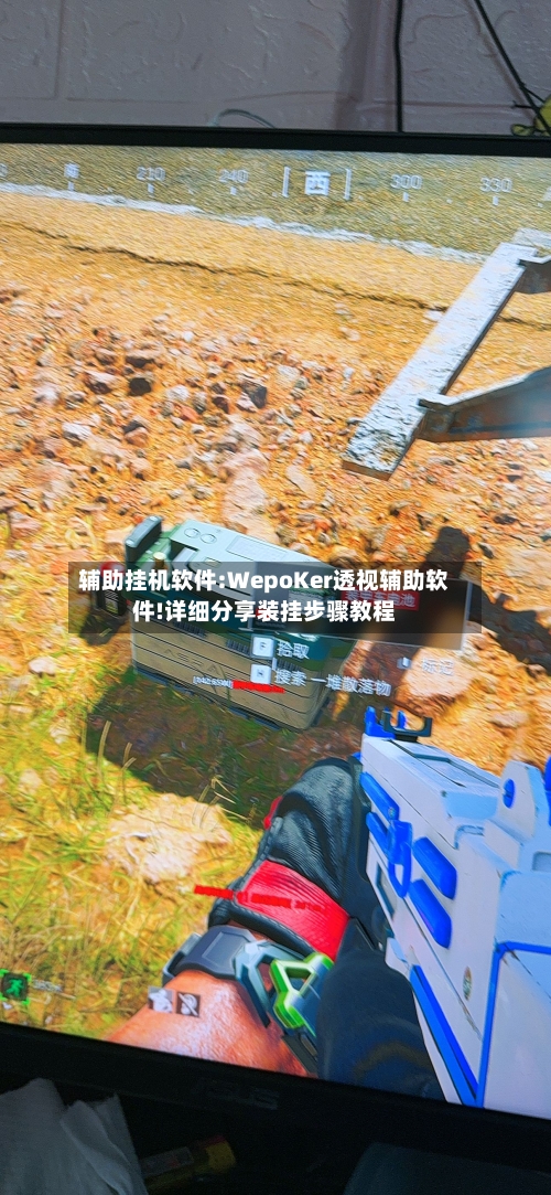 辅助挂机软件:WepoKer透视辅助软件!详细分享装挂步骤教程-第3张图片