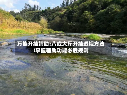 万能开挂辅助:八戒大厅开挂透视方法!掌握辅助功能必胜规则-第2张图片