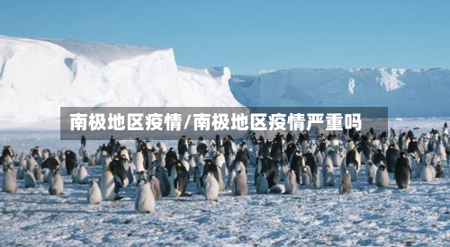 南极地区疫情/南极地区疫情严重吗-第1张图片