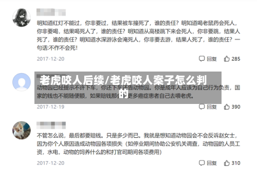 老虎咬人后续/老虎咬人案子怎么判的-第3张图片