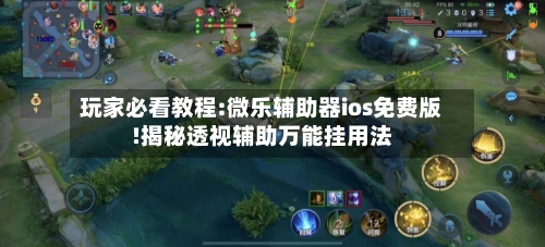 玩家必看教程:微乐辅助器ios免费版!揭秘透视辅助万能挂用法-第3张图片