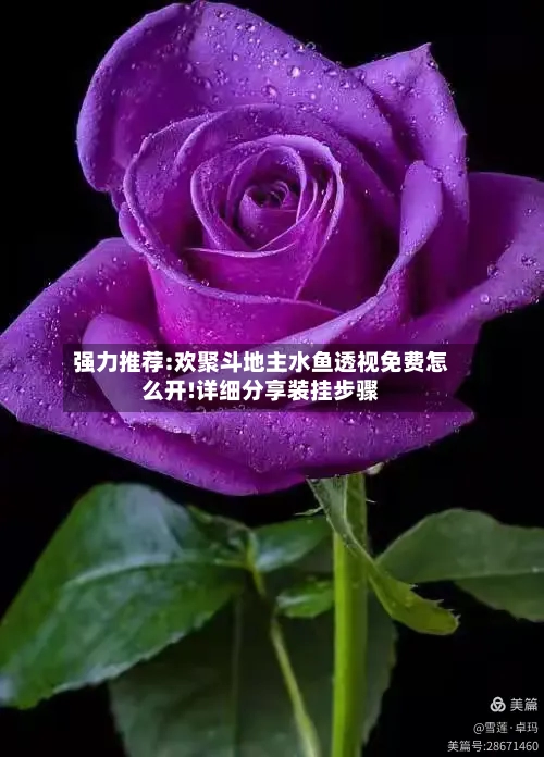 强力推荐:欢聚斗地主水鱼透视免费怎么开!详细分享装挂步骤-第2张图片