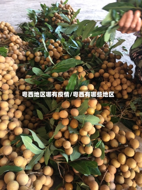 粤西地区哪有疫情/粤西有哪些地区-第3张图片