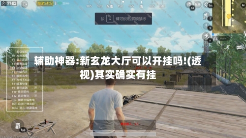 辅助神器:新玄龙大厅可以开挂吗!(透视)其实确实有挂-第2张图片