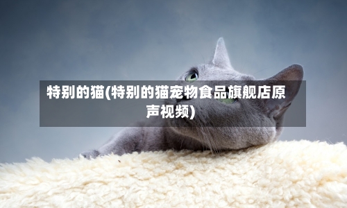 特别的猫(特别的猫宠物食品旗舰店原声视频)-第2张图片