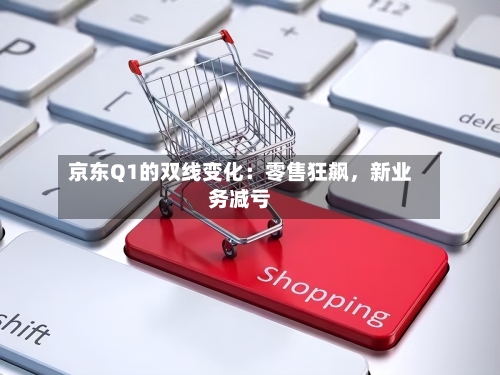 京东Q1的双线变化：零售狂飙，新业务减亏-第2张图片
