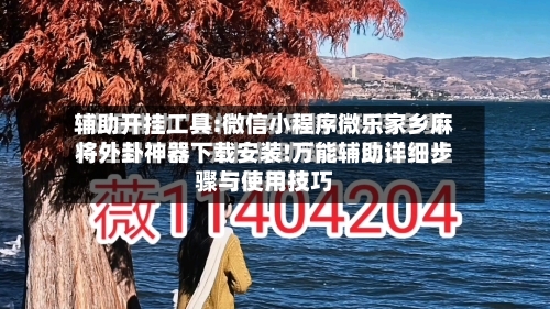 辅助开挂工具:微信小程序微乐家乡麻将外卦神器下载安装!万能辅助详细步骤与使用技巧-第1张图片
