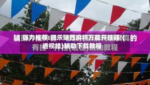 强力推荐:微乐陕西麻将万能开挂器!(透视挂)辅助下载教程-第3张图片