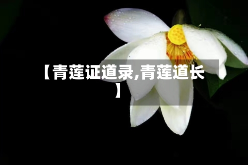 【青莲证道录,青莲道长】-第1张图片