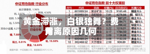 黄金滞涨，白银独舞？费用背离原因几何-第1张图片