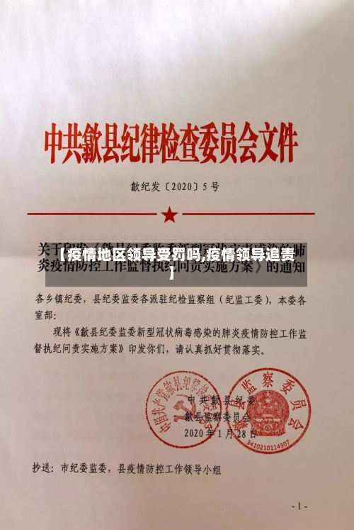 【疫情地区领导受罚吗,疫情领导追责】-第2张图片