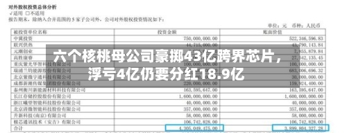 六个核桃母公司豪掷43亿跨界芯片，浮亏4亿仍要分红18.9亿-第1张图片