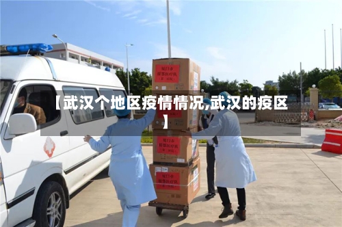 【武汉个地区疫情情况,武汉的疫区】-第3张图片