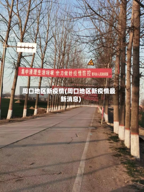 周口地区新疫情(周口地区新疫情最新消息)-第2张图片