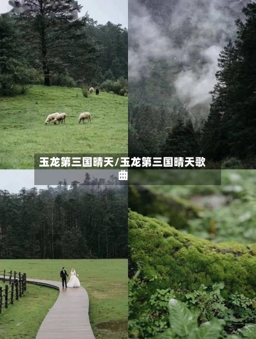 玉龙第三国晴天/玉龙第三国晴天歌曲-第2张图片