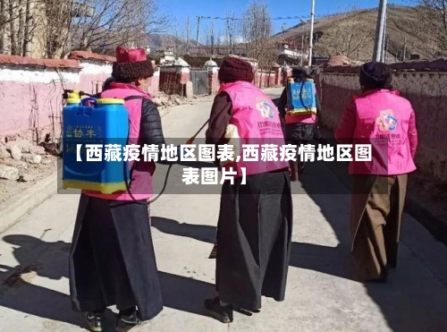 【西藏疫情地区图表,西藏疫情地区图表图片】-第2张图片