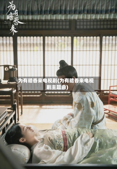 为有暗香来电视剧(为有暗香来电视剧主题曲)-第1张图片