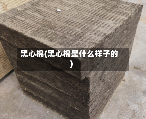 黑心棉(黑心棉是什么样子的)-第3张图片