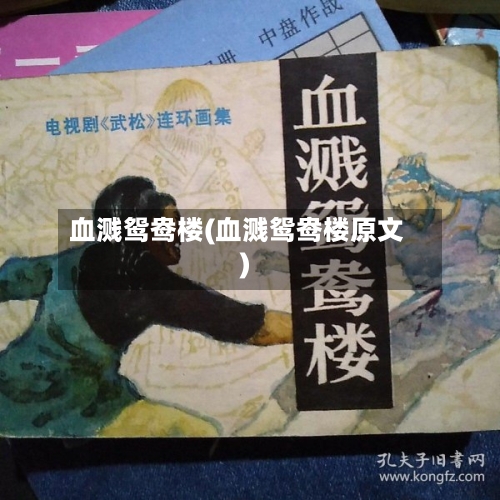 血溅鸳鸯楼(血溅鸳鸯楼原文)-第3张图片