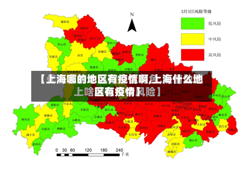 【上海哪的地区有疫情啊,上海什么地区有疫情】-第2张图片