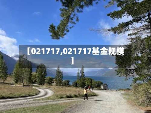 【021717,021717基金规模】-第1张图片