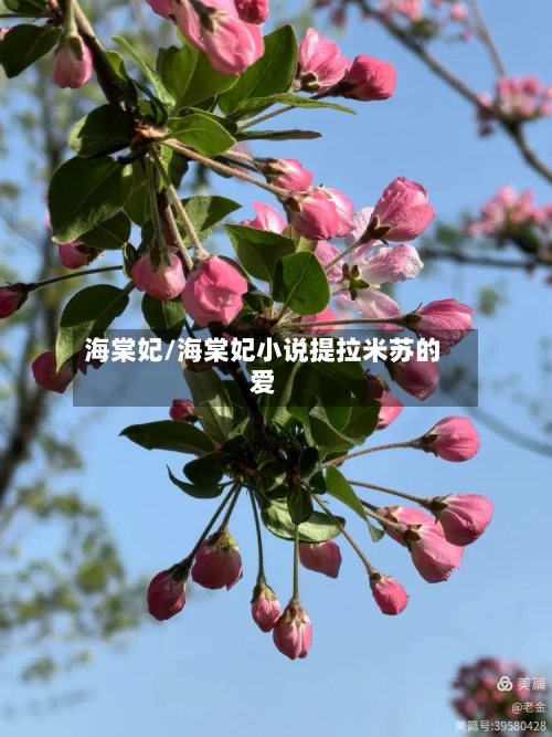 海棠妃/海棠妃小说提拉米苏的爱-第1张图片