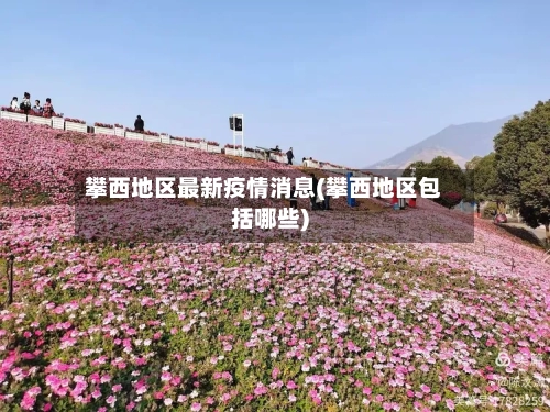 攀西地区最新疫情消息(攀西地区包括哪些)-第3张图片
