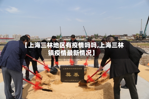【上海三林地区有疫情吗吗,上海三林镇疫情最新情况】-第2张图片