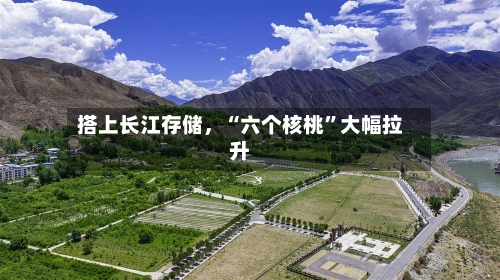 搭上长江存储，“六个核桃”大幅拉升-第3张图片