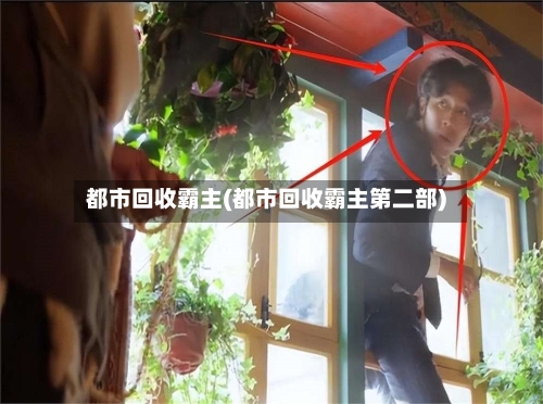 都市回收霸主(都市回收霸主第二部)-第2张图片