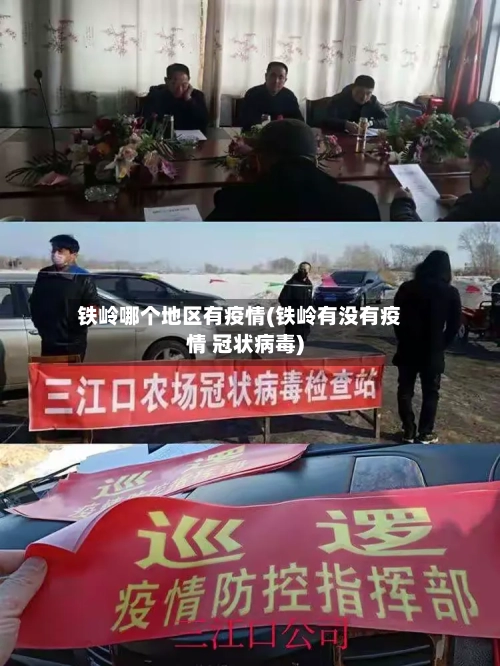 铁岭哪个地区有疫情(铁岭有没有疫情 冠状病毒)-第1张图片