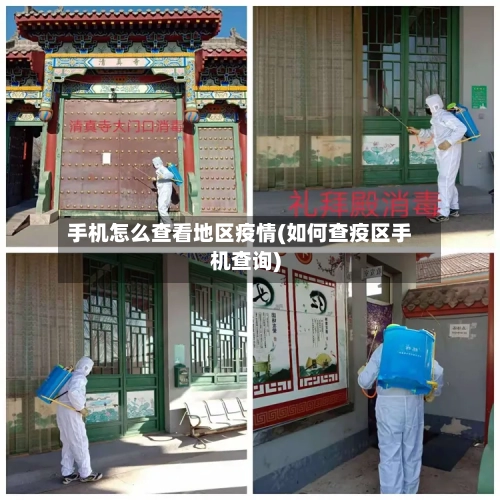 手机怎么查看地区疫情(如何查疫区手机查询)-第3张图片