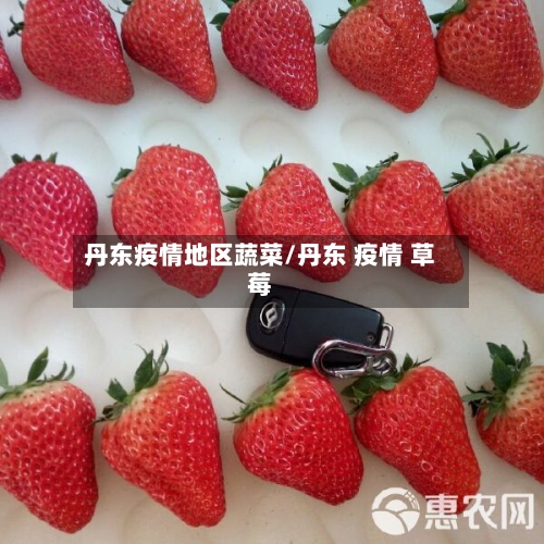 丹东疫情地区蔬菜/丹东 疫情 草莓-第1张图片