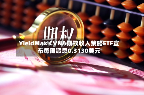 YieldMax CVNA期权收入策略ETF宣布每周派息0.3130美元-第1张图片