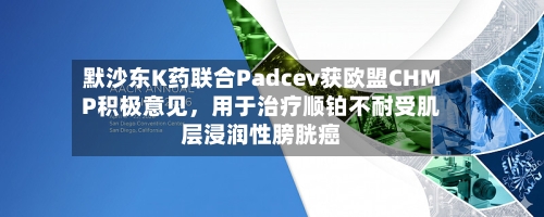 默沙东K药联合Padcev获欧盟CHMP积极意见，用于治疗顺铂不耐受肌层浸润性膀胱癌-第1张图片