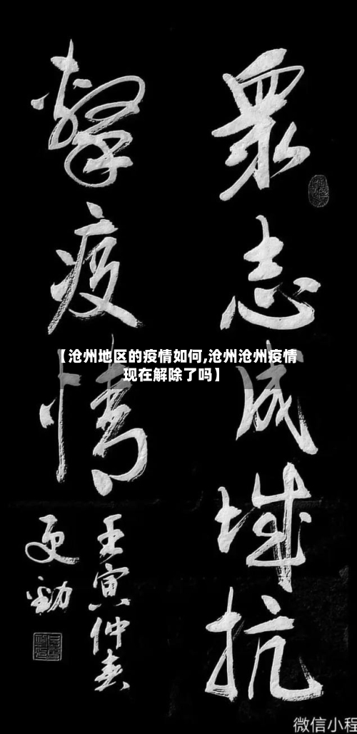 【沧州地区的疫情如何,沧州沧州疫情现在解除了吗】-第2张图片