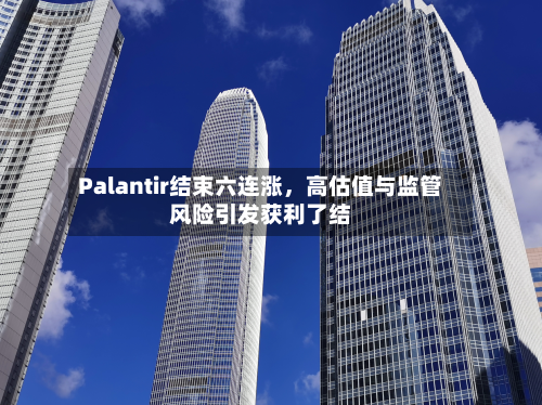 Palantir结束六连涨	，高估值与监管风险引发获利了结-第3张图片