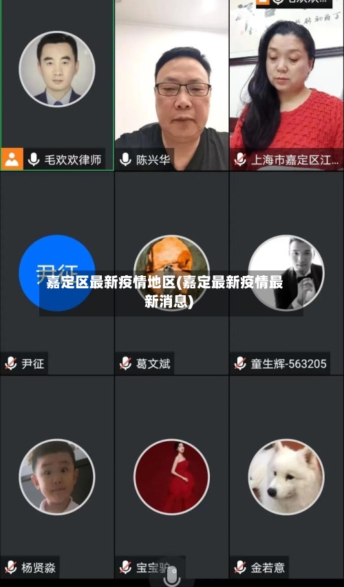 嘉定区最新疫情地区(嘉定最新疫情最新消息)-第2张图片