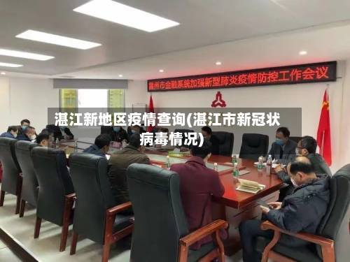 湛江新地区疫情查询(湛江市新冠状病毒情况)-第2张图片