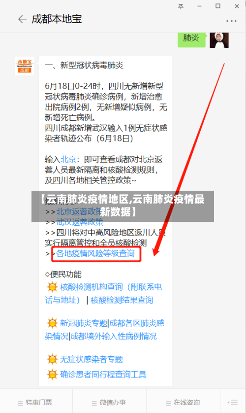 【云南肺炎疫情地区,云南肺炎疫情最新数据】-第2张图片