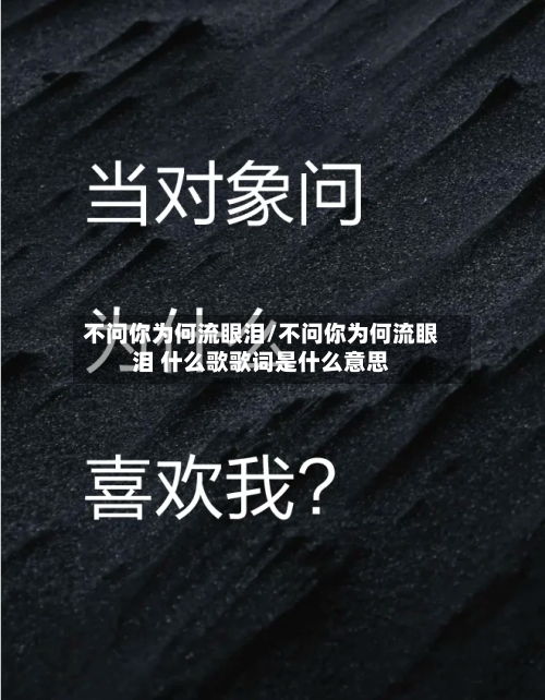 不问你为何流眼泪/不问你为何流眼泪 什么歌歌词是什么意思-第3张图片