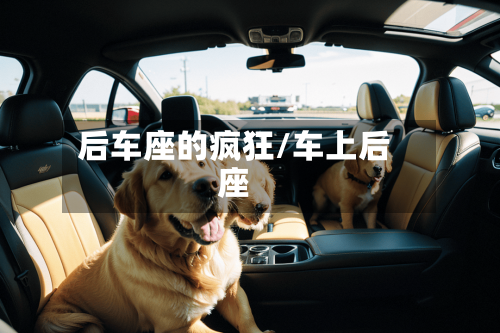 后车座的疯狂/车上后座-第1张图片